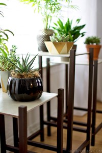 DIY Modern Plant Stand - Homey Oh My