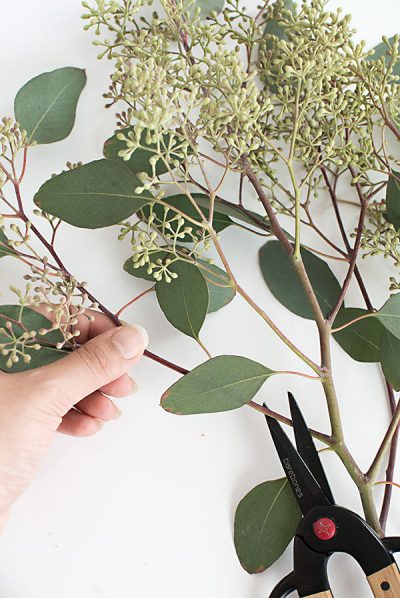 Diy Eucalyptus Garland Homey Oh My